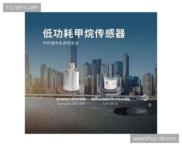 凯发k8国际官网技术保障，确保每一位玩家的资金安全与隐私保护措施到位