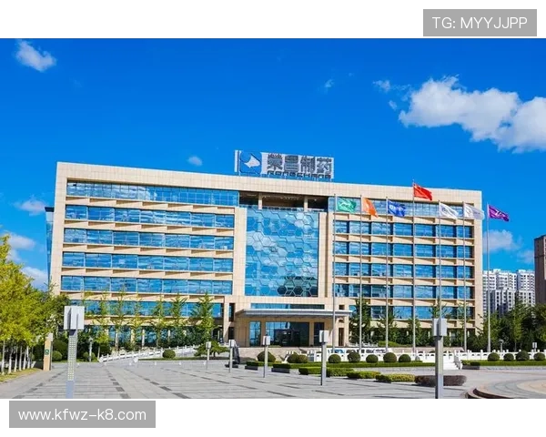 凯发集团网页版登录账号安全保障措施全面解析