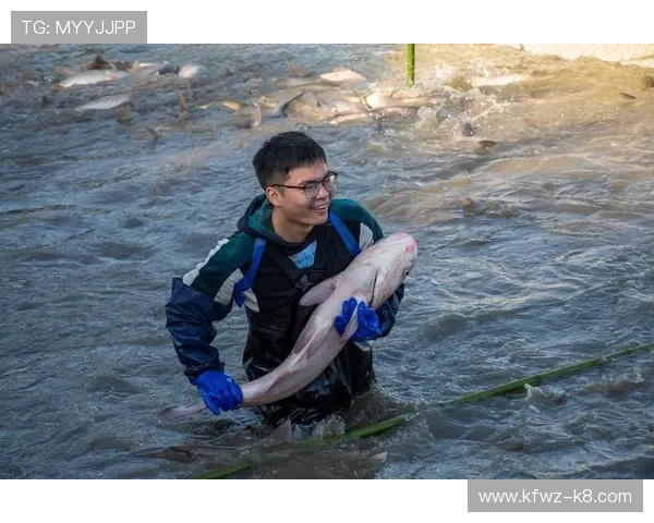 利用K8捕鱼网投平台进行线上捕鱼的最新玩法与技巧介绍